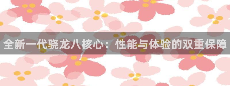 辉达娱乐app 是什么：全新一代骁龙八核心：性能与体验的双重保障