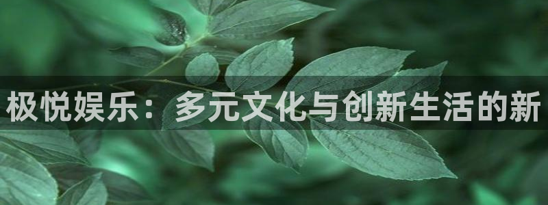辉达娱乐体育凯捷平台主管：极悦娱乐：多元文化与创新生活的新