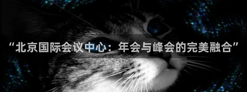 辉达娱乐手机版下载：“北京国际会议中心：年会与峰会的完美融合”