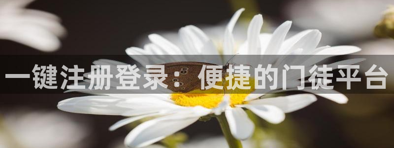 辉达娱乐游戏官网版：一键注册登录：便捷的门徒平台