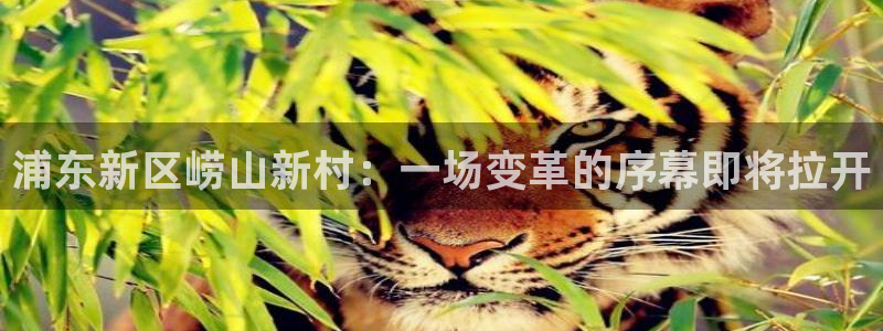 辉达娱乐平台登录：浦东新区崂山新村：一场变革的序幕即将拉开