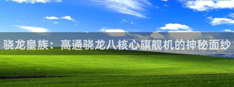 辉达娱乐官网地址：骁龙皇族：高通骁龙八核心旗舰机的神秘面纱