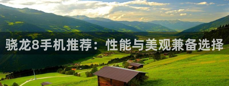 辉达娱乐app新版上线体验.游戏更新入口.中国：骁龙8手机推荐：性能与美观兼备选