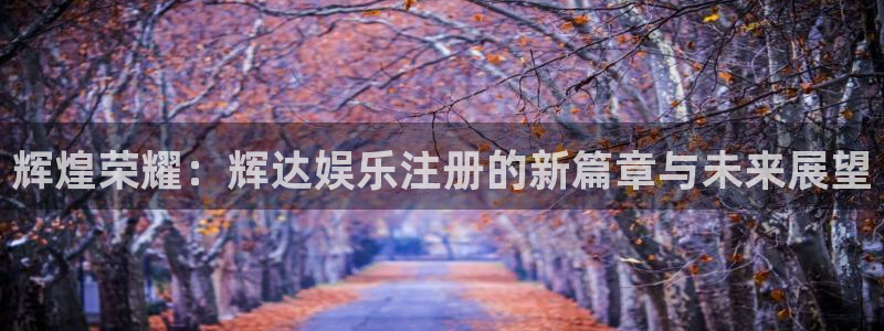 辉达娱乐注册网站：辉煌荣耀：辉达娱乐注册的新篇章与未来展望