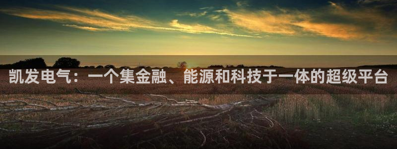 辉达娱乐2登录：凯发电气：一个集金融、能源和科技于一体的超级平台