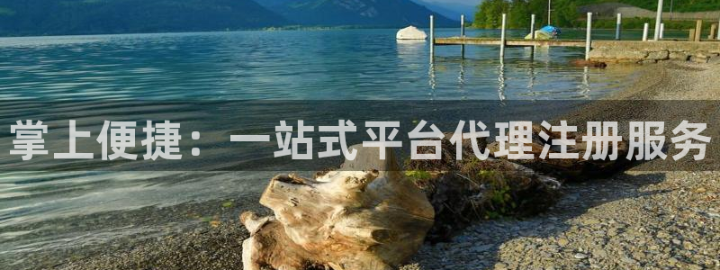 辉达娱乐的平台：掌上便捷：一站式平台代理注册服务