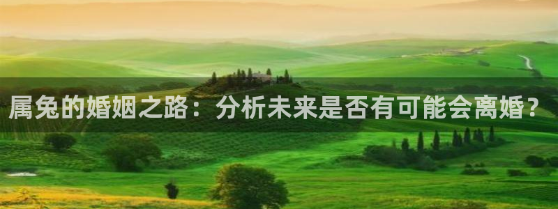 辉达娱乐网站平台登录：属兔的婚姻之路：分析未来是否有可能会离婚？