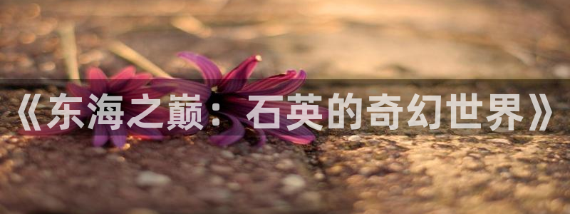 辉达娱乐免费注册：《东海之巅：石英的奇幻世界》