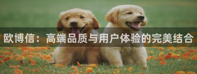 辉达娱乐4官网：欧博信：高端品质与用户体验的完美结合