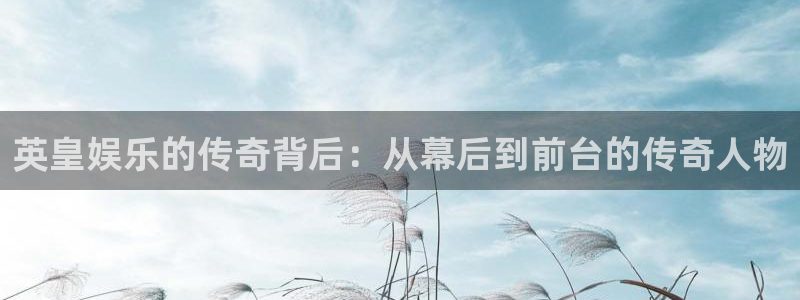 辉达娱乐招商：英皇娱乐的传奇背后：从幕后到前台的传奇人物