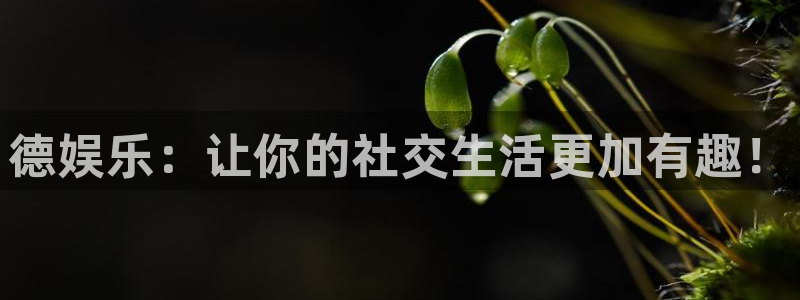 辉达娱乐平台：德娱乐：让你的社交生活更加有趣！