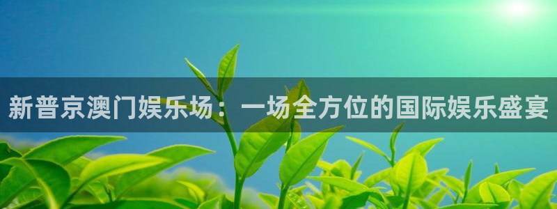 辉达娱乐下载地址：新普京澳门娱乐场：一场全方位的国际娱乐盛宴