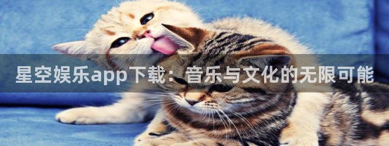 pg辉达娱乐平台下载入口：星空娱乐app下载：音乐与文化的无限可能