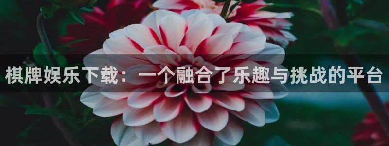 辉达娱乐体育2官网入口：棋牌娱乐下载：一个融合了乐趣与挑战的平台