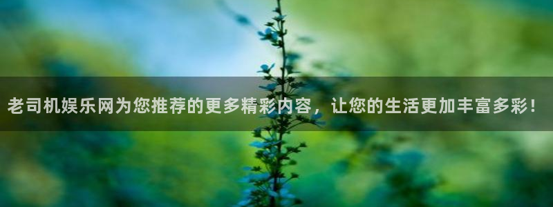 辉达娱乐游戏官网平台入口：老司机娱乐网为您推荐的更多精彩内容，让您的生活更加丰富