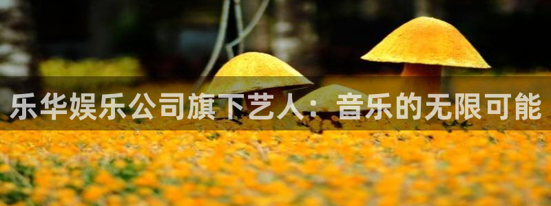 辉达娱乐2登录入口：乐华娱乐公司旗下艺人：音乐的无限可能