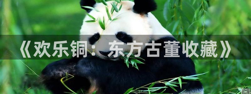 辉达娱乐app新版上线体验.游戏更新入口.中国：《欢乐铜：东方古董收藏》