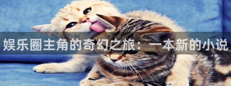 辉达娱乐注册网站app：娱乐圈主角的奇幻之旅：一本新的小说