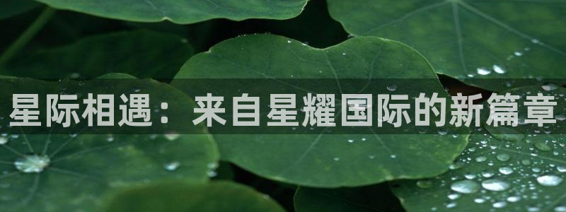 辉达娱乐集团股票：星际相遇：来自星耀国际的新篇章