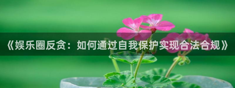 辉达娱乐体育平台登录入口：《娱乐圈反贪：如何通过自我保护实现合法合规》