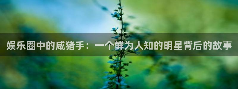 辉达娱乐3官网