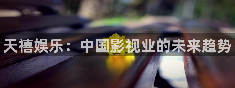 辉达娱乐