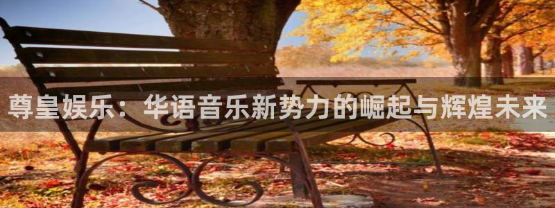 辉达娱乐vip麻将胡了：尊皇娱乐：华语音乐新势力的崛起与辉煌未来